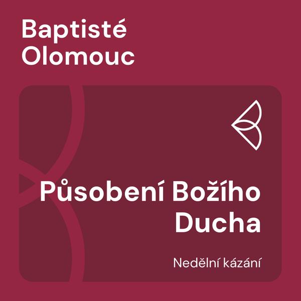 Nedělní kázání